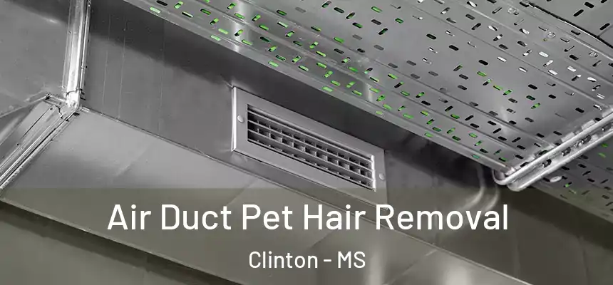  Air Duct Pet Hair Removal Clinton - MS