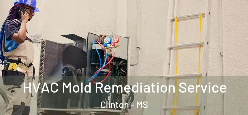  HVAC Mold Remediation Service Clinton - MS