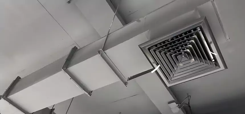 Our Rodent Droppings In Vents Services in Clinton, MS