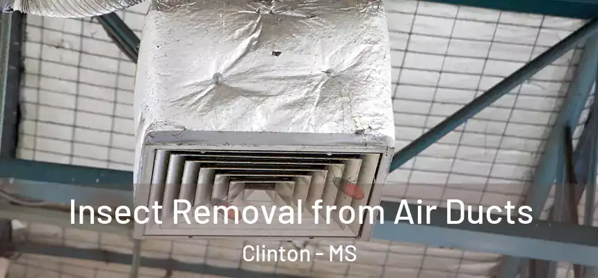 Insect Removal from Air Ducts Clinton - MS
