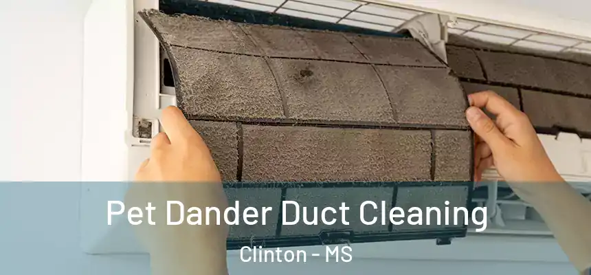  Pet Dander Duct Cleaning Clinton - MS