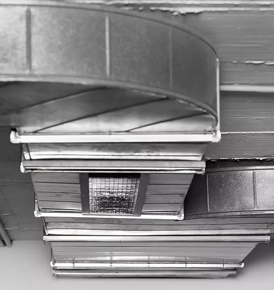 Professional Air Duct Pest Removal in Clinton, MS